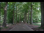 Sat 19 May 2007 13:05:14 D20_9335.JPG 