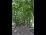 Sat 19 May 2007 13:06:08 D20_9336.JPG 
