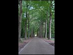 Sat 19 May 2007 13:07:22 D20_9339.JPG 