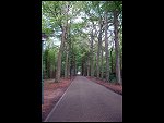 Sat 19 May 2007 13:09:44 D20_9342.JPG 