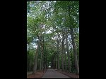Sat 19 May 2007 13:09:48 D20_9343.JPG 
