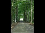 Sat 19 May 2007 13:12:16 D20_9356.JPG 