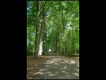 Sat 19 May 2007 13:12:48 D20_9357.JPG 