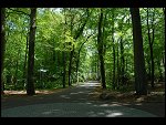 Sat 19 May 2007 13:14:22 D20_9367.JPG 