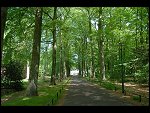 Sat 19 May 2007 13:14:36 D20_9368.JPG 