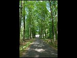 Sat 19 May 2007 13:15:00 D20_9369.JPG 
