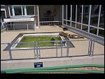 Fri 18 May 2007 12:10:28 100_1353.JPG 