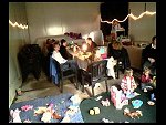 Sun 27 May 2007 11:35:10 0161.JPG 