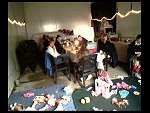 Sun 27 May 2007 11:38:14 0164.JPG 