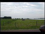 Sun 15 Jul 2007 11:42:42 D20_0740.JPG 