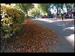 Sat 22 Sep 2007 08:34:04 D20_3486.JPG 