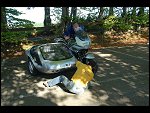 Sat 22 Sep 2007 09:41:16 D20_3532.JPG 