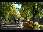 Sat 22 Sep 2007 09:47:36 D20_3546.JPG 