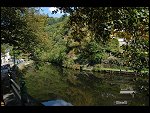 Sat 22 Sep 2007 13:43:04 D20_3559.JPG 