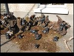 Sat 22 Sep 2007 13:44:24 D20_3565.JPG 