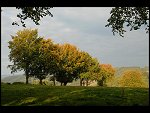 Sun 23 Sep 2007 07:55:44 D20_3747.JPG 
