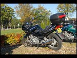 Sun 14 Oct 2007 09:39:24 D20_4134.JPG 