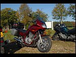 Sun 14 Oct 2007 09:39:44 D20_4136.JPG 