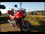 Sun 14 Oct 2007 09:40:34 D20_4138.JPG 