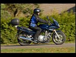 Sun 14 Oct 2007 09:47:42 D20_4150.JPG 