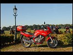 Sun 14 Oct 2007 09:53:32 D20_4162.JPG 
