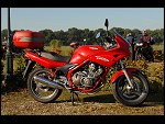 Sun 14 Oct 2007 09:53:40 D20_4163.JPG 