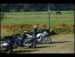 Sun 14 Oct 2007 10:12:32 D20_4171.JPG 