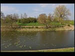 Sun 20 Apr 2008 15:46:39 D30_2606.JPG 