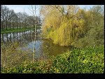 Sun 20 Apr 2008 16:22:10 100_2024.JPG 