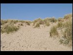 Fri 02 May 2008 15:09:30 D30_2910.JPG 