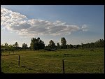Sun 11 May 2008 17:31:44 D30_3765.JPG 