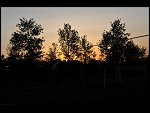 Sun 11 May 2008 19:59:54 D30_3875.JPG 