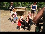 Sat 10 May 2008 13:26:01 IMG00131.JPG 