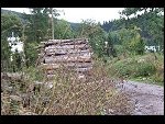 Sat 06 Sep 2008 14:09:27 100_2647.JPG 