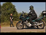 Sat 27 Sep 2008 12:44:42 D30_1445.JPG 
