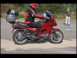 Sat 27 Sep 2008 13:59:06 D30_1977.JPG 