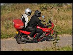 Sat 27 Sep 2008 15:21:26 D30_2137.JPG 