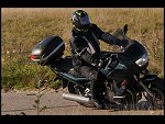 Sat 27 Sep 2008 15:31:48 D30_2207.JPG 