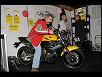 Fri 27 Feb 2009 12:59:50 D30_8192.JPG 