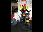 Fri 27 Feb 2009 15:28:48 IMG_2023.JPG 