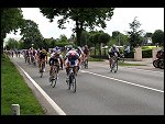 Sat 16 May 2009 11:09:36 D30_0708.JPG 