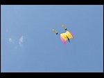 Sat 30 May 2009 17:30:38 D30_1547.JPG 
