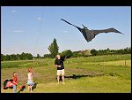Sat 30 May 2009 17:34:30 D30_1556.JPG 