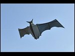 Sat 30 May 2009 17:34:40 D30_1557.JPG 