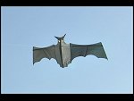 Sat 30 May 2009 17:34:46 D30_1558.JPG 