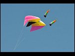 Sat 30 May 2009 17:39:44 D30_1564.JPG 