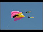 Sat 30 May 2009 17:41:10 D30_1572.JPG 