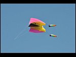Sat 30 May 2009 17:42:30 D30_1583.JPG 