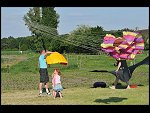 Sat 30 May 2009 17:49:34 D30_1620.JPG 