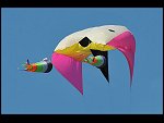 Sat 30 May 2009 18:23:54 D30_1779.JPG 